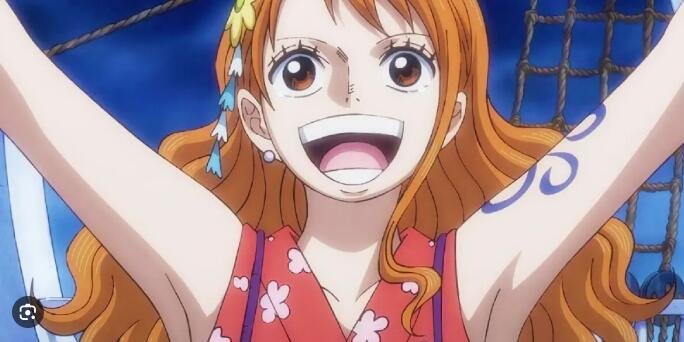 nami's dream in one piece